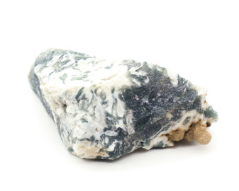 Agat Mszysty (Drzewny)