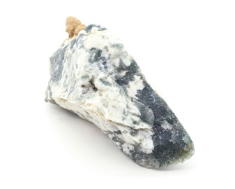 Agat Mszysty (Drzewny)