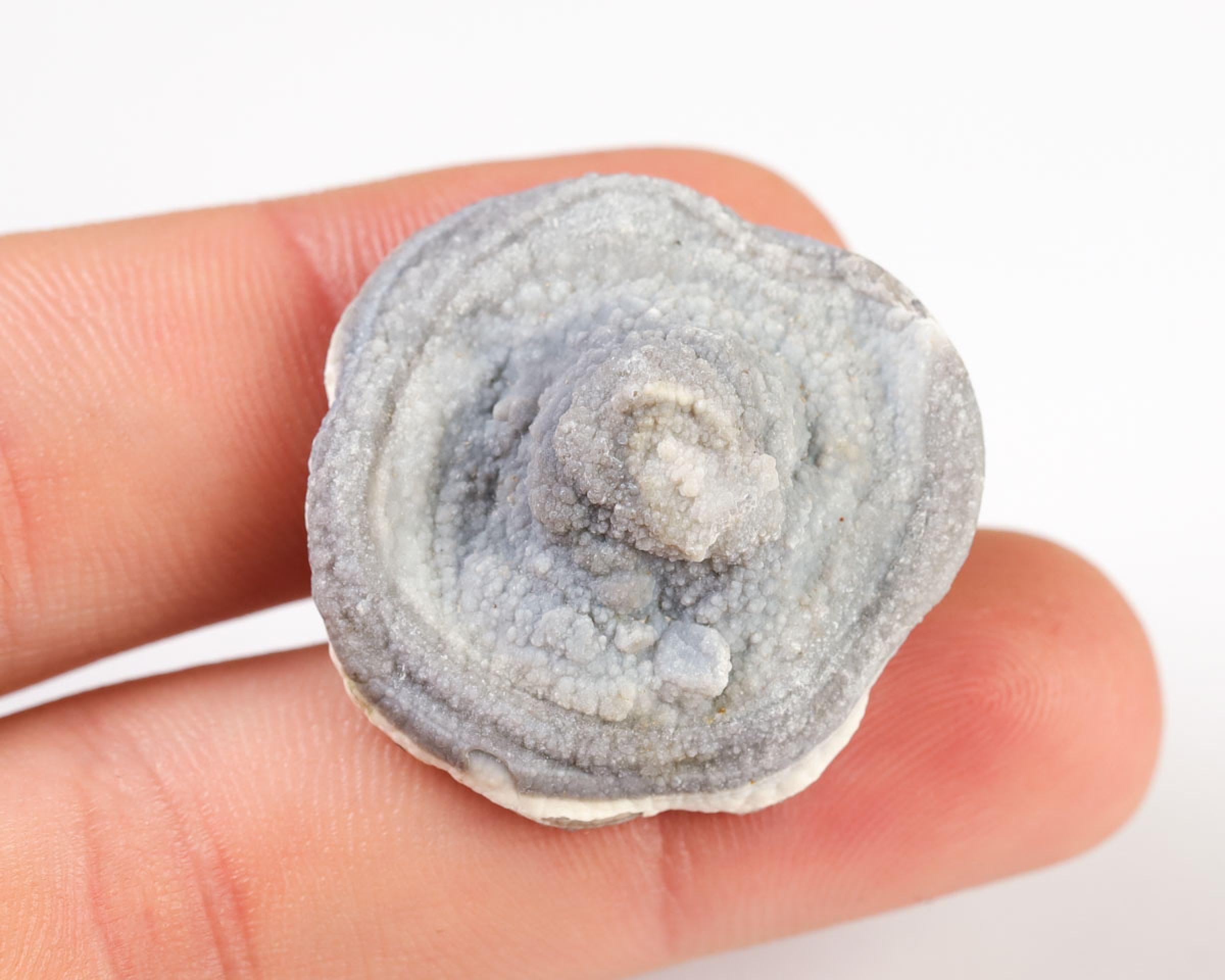 Chalcedonowa Rozeta