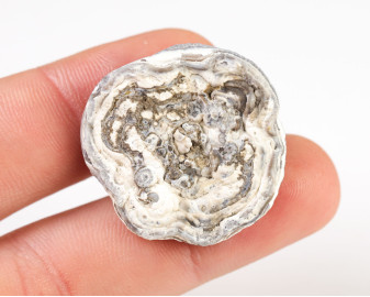 Chalcedonowa Rozeta