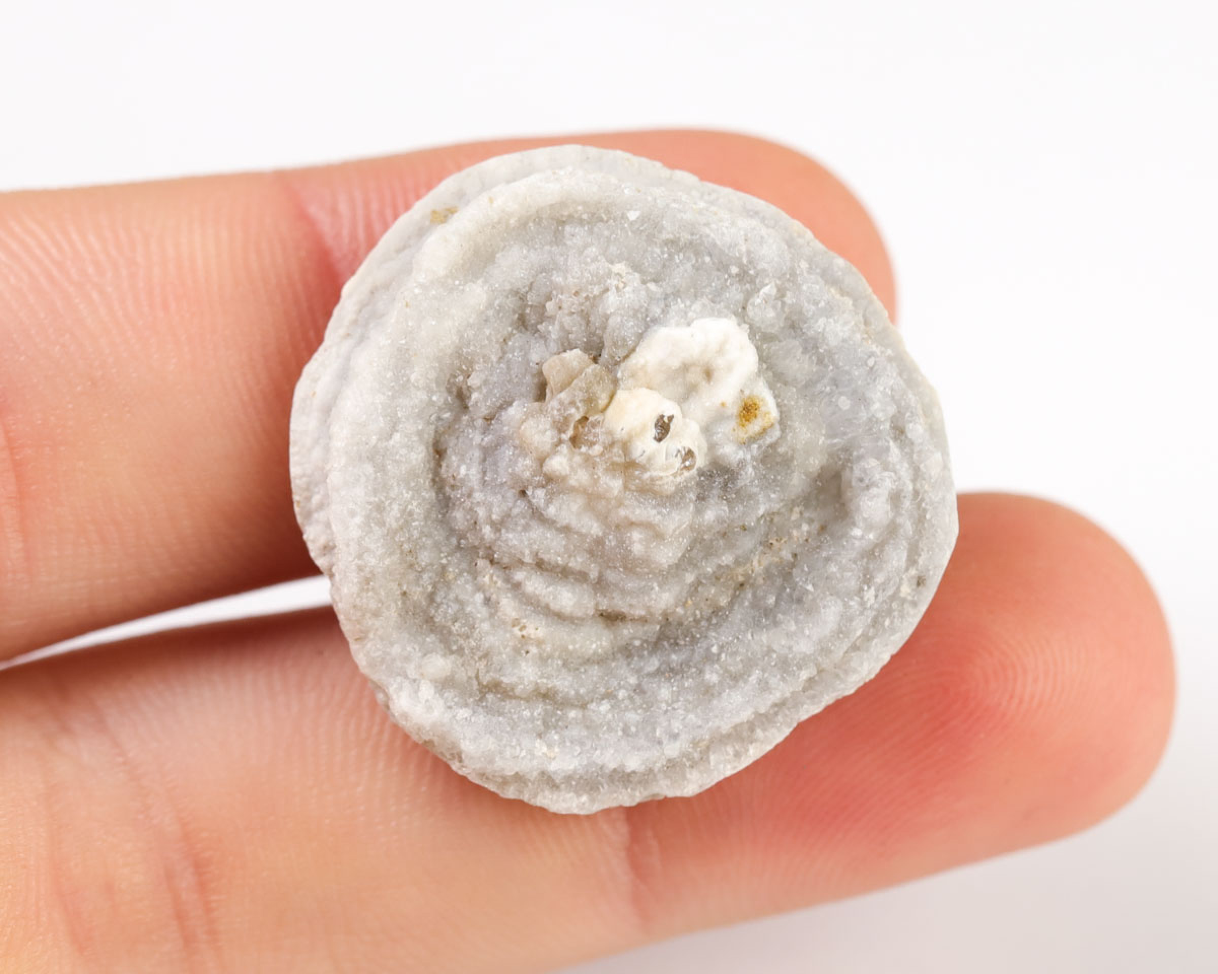Chalcedonowa Rozeta