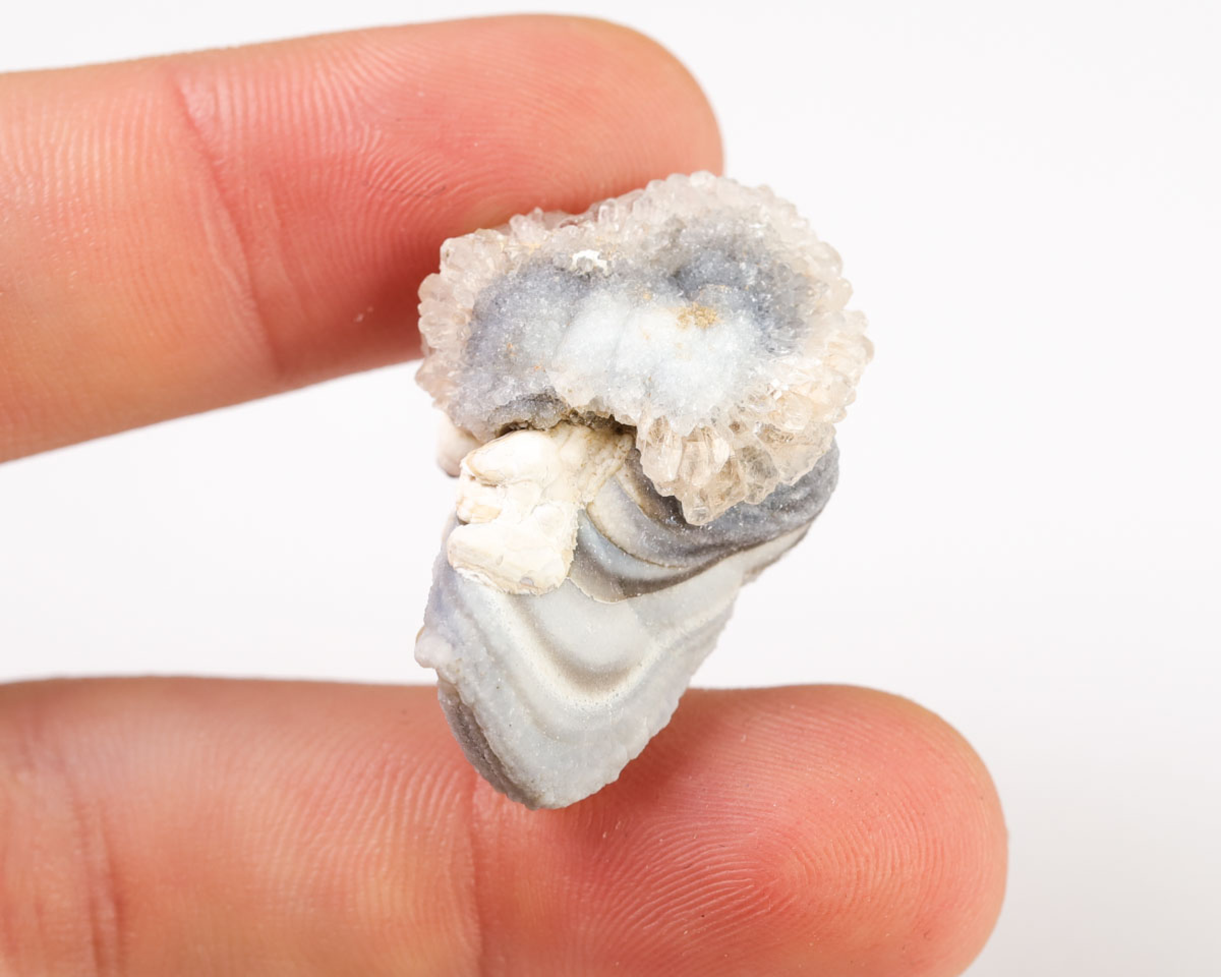 Chalcedonowa Rozeta
