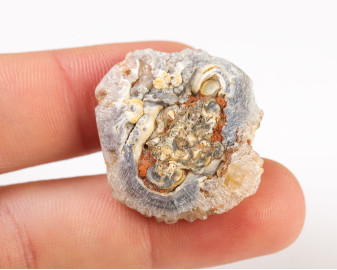Chalcedonowa Rozeta