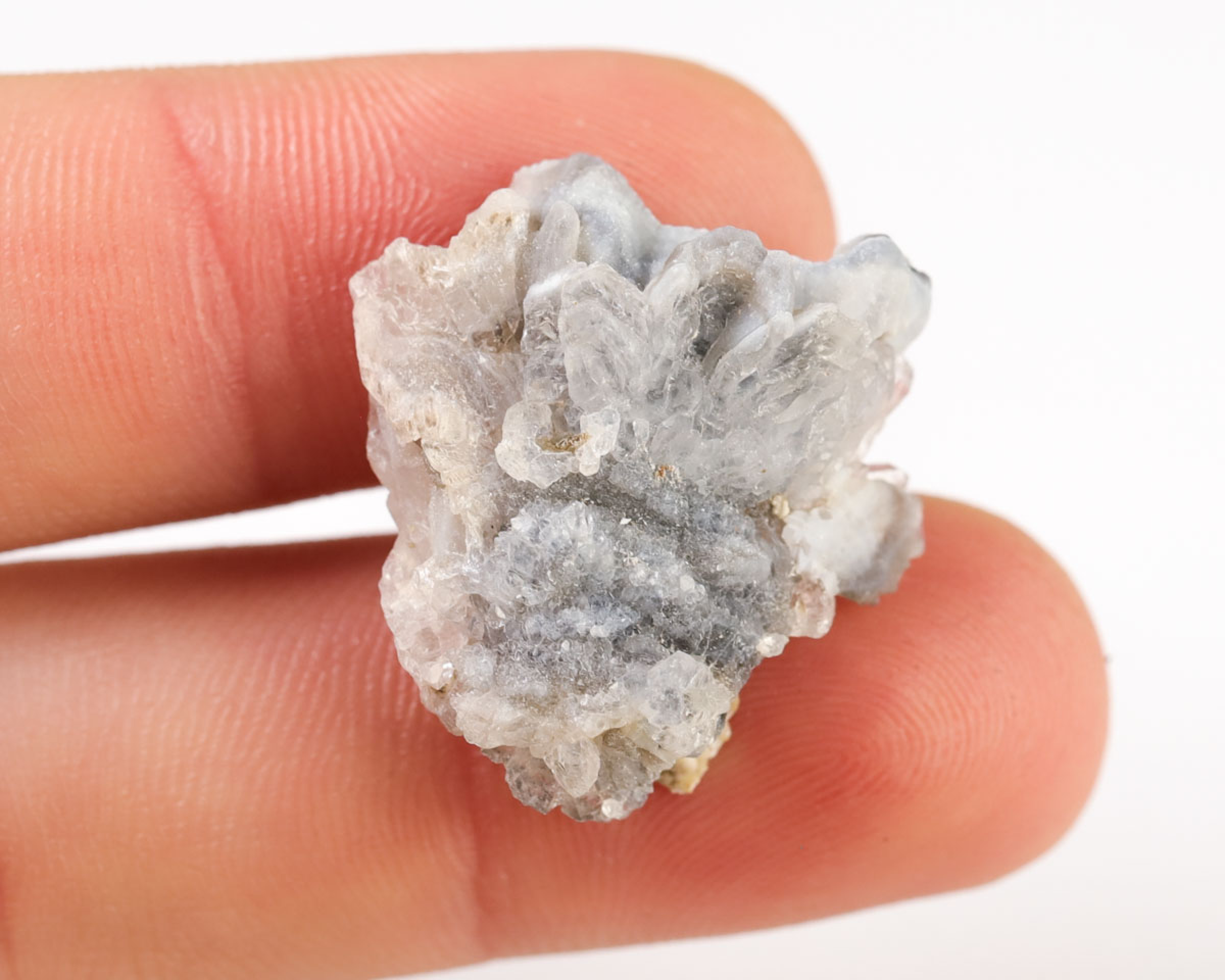 Chalcedonowa Rozeta