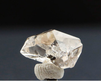 Herkimer 