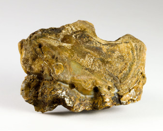 Agat z Madagaskaru 